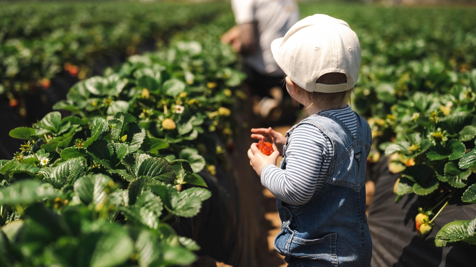 Picking the Right ⁤Moment to Negotiate Like a Pro