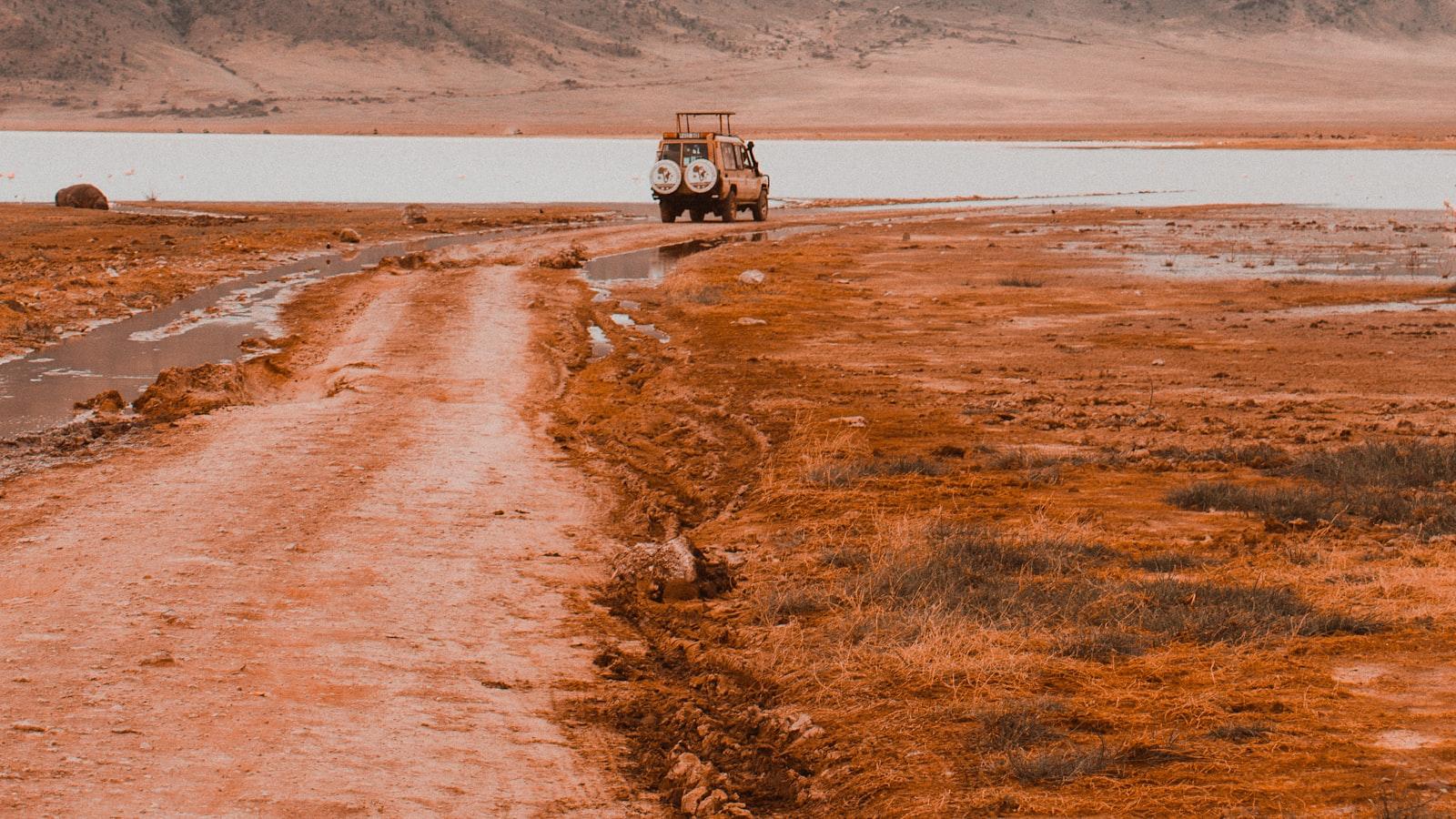 Simple Tips for Conserving Energy in Your Home