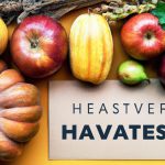 Harvest Savings: How Purchasing Seasonal and Local Produce Cuts Costs and Boosts Communities
