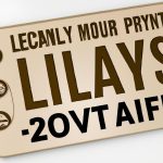 Maximize Your Savings: The Benefits of Loyalty Programs and Reward Cards