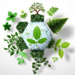 Practical Tips ⁢for Sustainable Living: ⁤Easy Changes for Big Impact